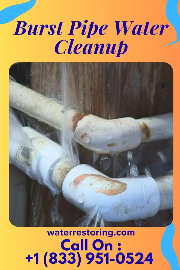 Burst Pipe Water Cleanup in Dayton, TX