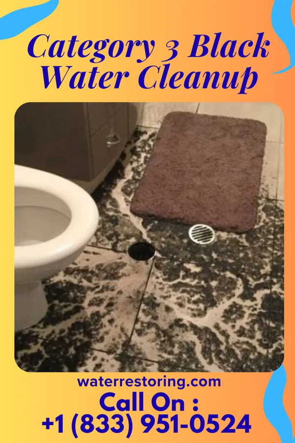 Category 3 Black Water Cleanup in Dayton, TX