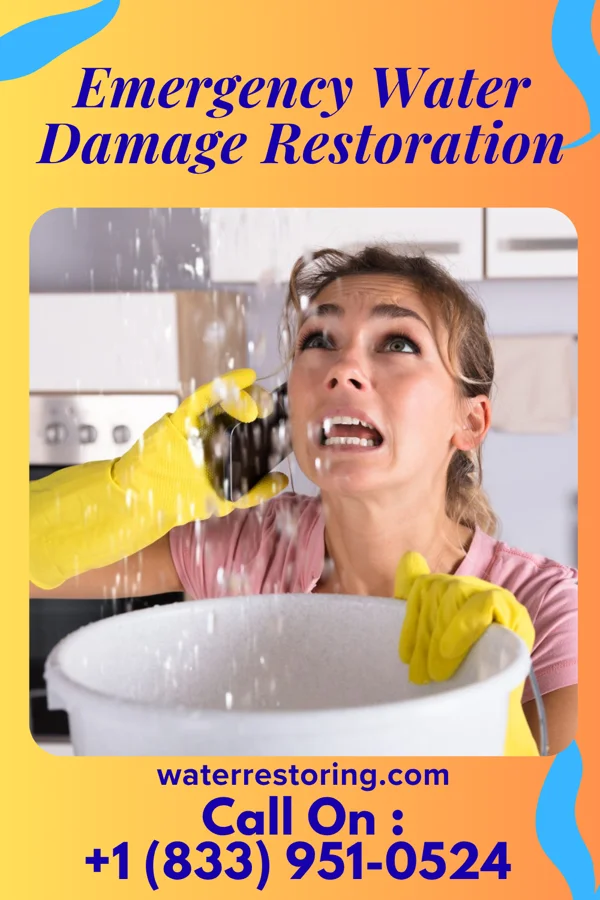 Emergency Water Damage Restoration in Dayton, TX